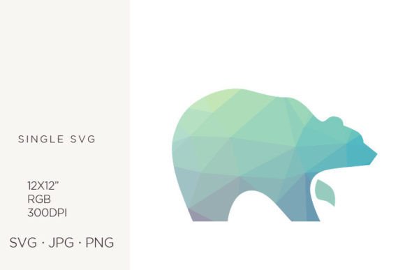 Geometric Pattern, Grizzly Bear: Graphics & Icons for Editorial Impact