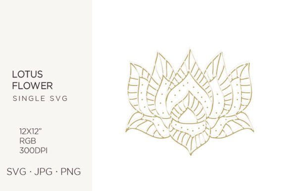 Lotus Flower Vector Graphics & Icons